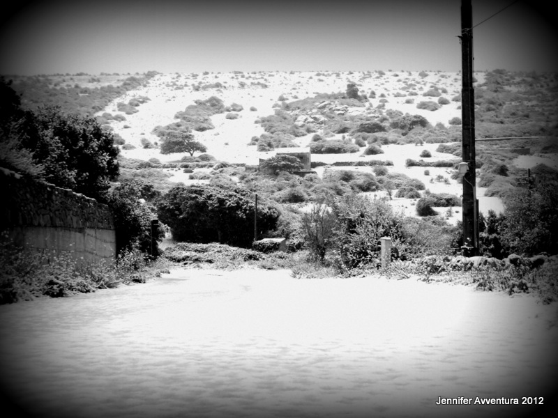 Neve Sardegna Explained: What the Snow Bulletin Truly Covers